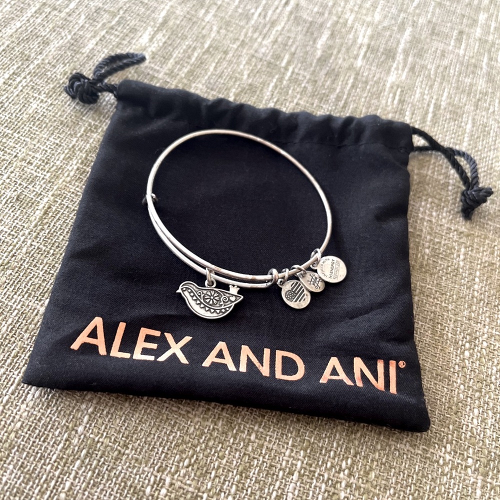Alex and Ani Silver Charm Bracelet